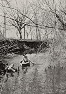 Mary's Strategem (1911) afişi