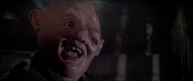 Define Avcıları Fotoğrafı