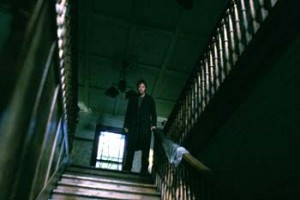 Karabasan fotoğrafı