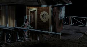 Davetsiz Fotoğrafı