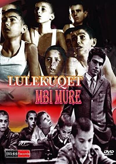 Lulekuqet Mbi Mure (1976) afişi