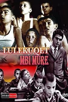 Lulekuqet Mbi Mure (1976) afişi