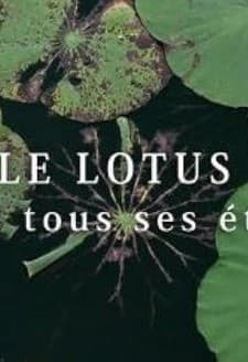 Le Lotus dans tous ses états (2011) afişi