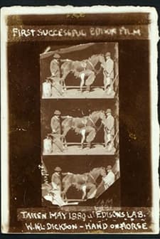 Horse Shoeing (1893) afişi