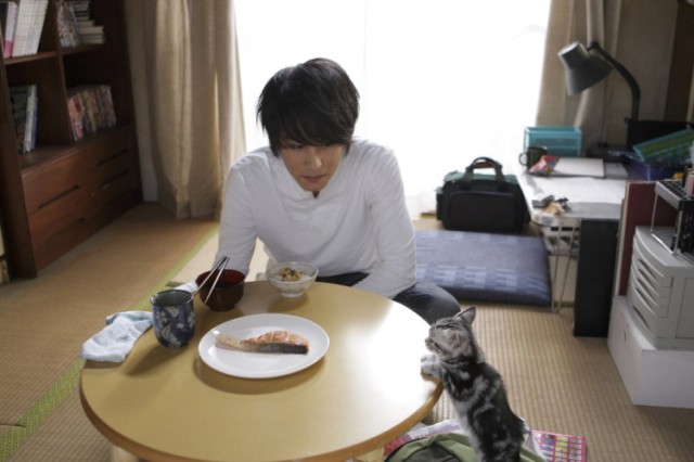 Kimi To Boku fotoğrafı