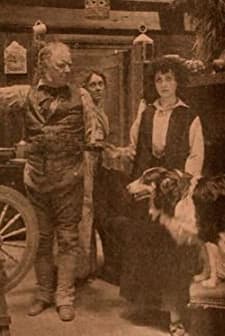 Her Mother's Wedding Gown (1910) afişi