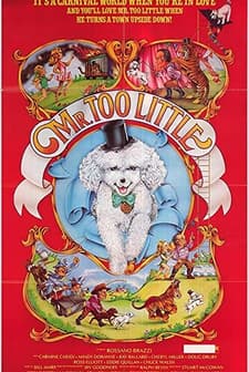 Mr. Too Little (1978) afişi