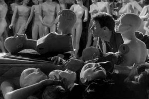 Katilin Busesi Fotoğrafı