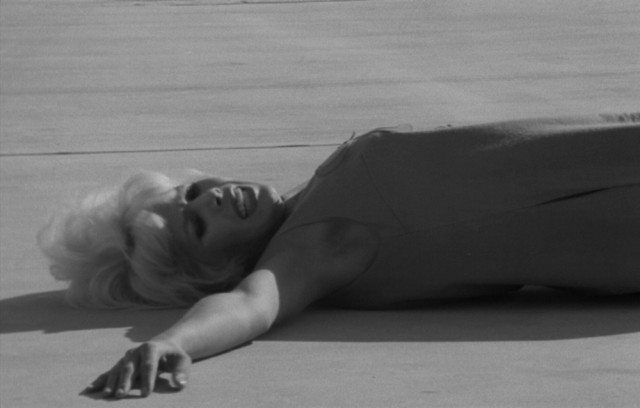 Scream Of The Butterfly fotoğrafı