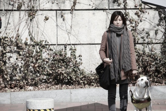 Karanlığın Gözleri fotoğrafı