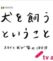 Sky To Wagaya No 180 Nichi (2011) afişi