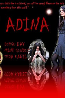 Adina (2010) afişi