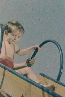 Alice in Switzerland (1942) afişi