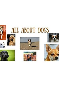 All About Dogs (1942) afişi