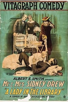 A Lady In The Library (1916) afişi