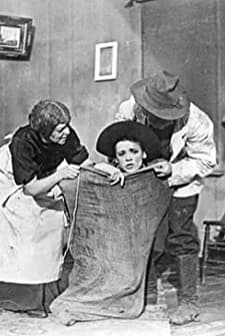 The Further Adventures Of The Girl Spy (1910) afişi