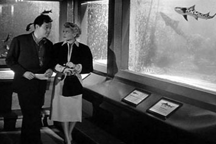 Şangaylı Kadın fotoğrafı