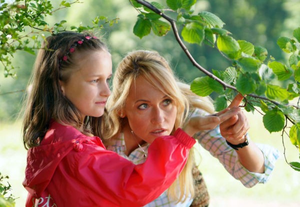 Schöne Aussicht fotoğrafı