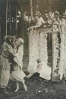 Rübezahls Hochzeit (1916) afişi