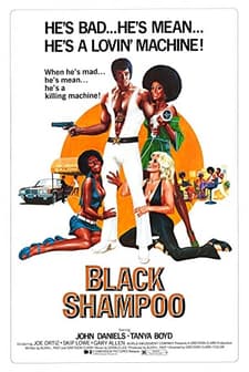 Black Shampoo (1976) afişi