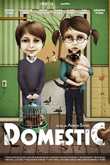 Domestic (2012) afişi