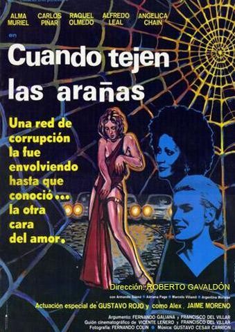 Cuando Tejen Las Arañas (1979) afişi
