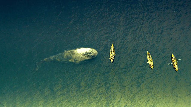 Denizin Ortasında Fotoğrafı