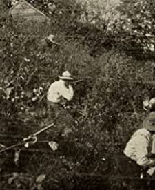 Battle In The Virginia Hills (1912) afişi