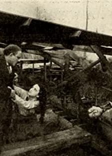 A Sawmill Hazard (1913) afişi