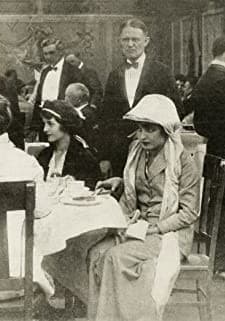 The Girl And The Stowaway (1914) afişi