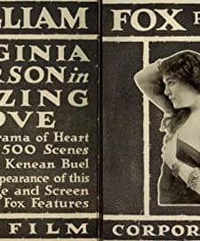Blazing Love (1916) afişi