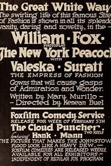 The New York Peacock (1917) afişi