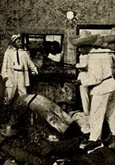 The Message Of The Palms (1913) afişi