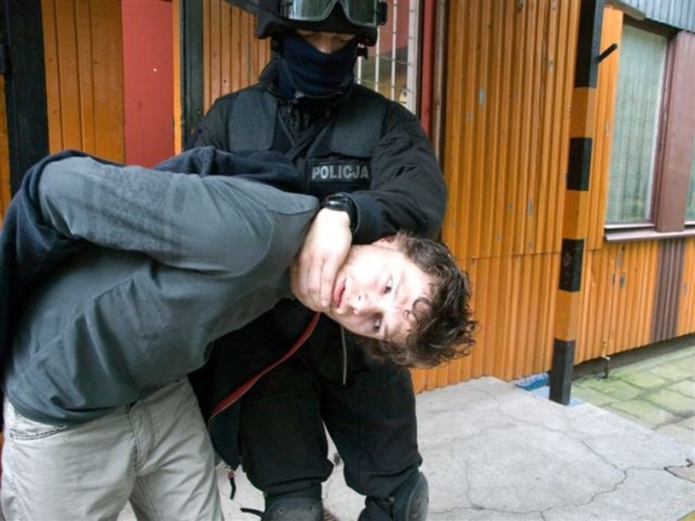 Mother Teresa Of Cats Fotoğrafı