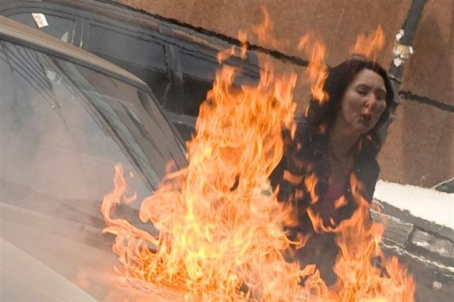 Mother Teresa Of Cats Fotoğrafı