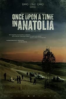 Bir Zamanlar Anadolu'da (2011) afişi
