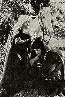 The Adventures Of Jacques (1913) afişi