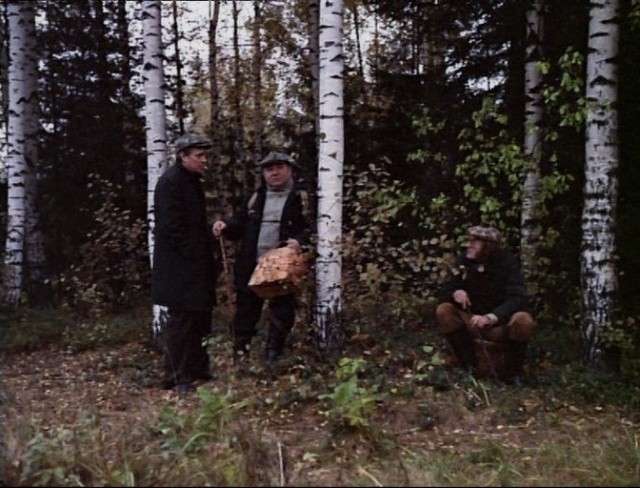 Osenniy Marafon fotoğrafı