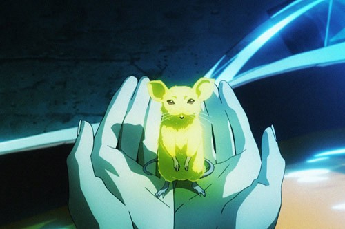 The First Compression fotoğrafı