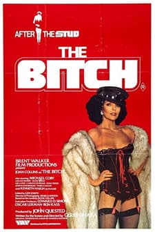 The Bitch (1979) afişi