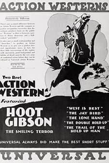 The Double Hold-up (1919) afişi