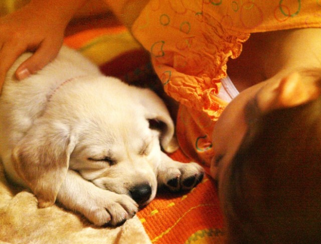 Pâtonâzu Fotoğrafı