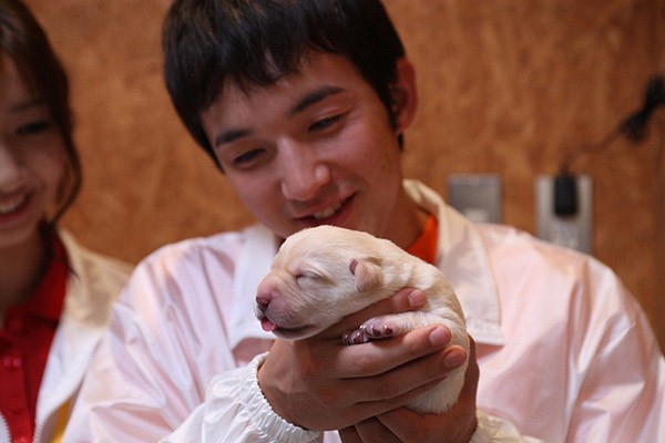 Pâtonâzu Fotoğrafı