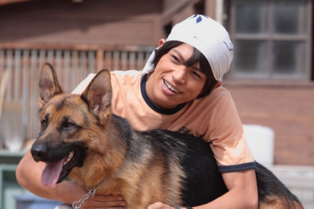 Police Dog Dream fotoğrafı