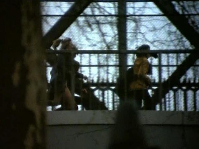 ı Am A Groupie Fotoğrafı