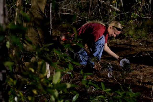 The Summoning fotoğrafı