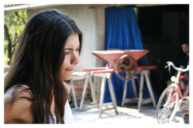 ı Giorni Della Vendemmia fotoğrafı