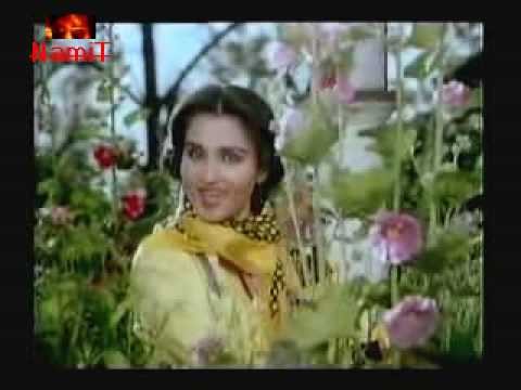 Sanam Teri Kasam fotoğrafı