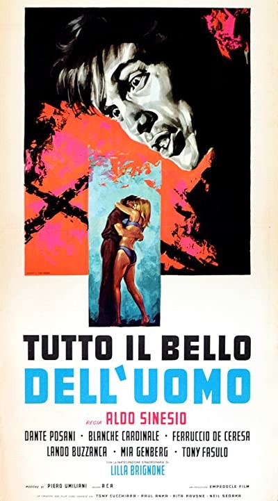 Tutto Il Bello Dell'uomo (1963) afişi