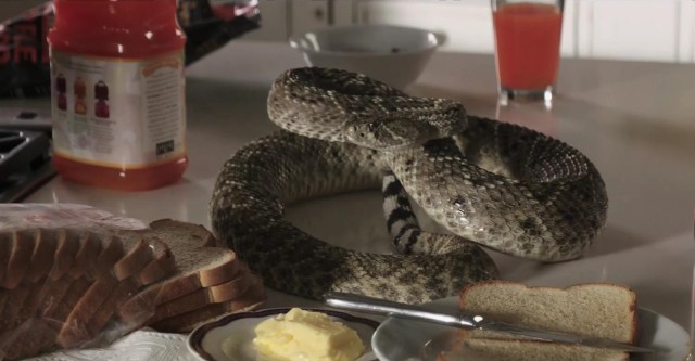 The Darkness Fotoğrafı